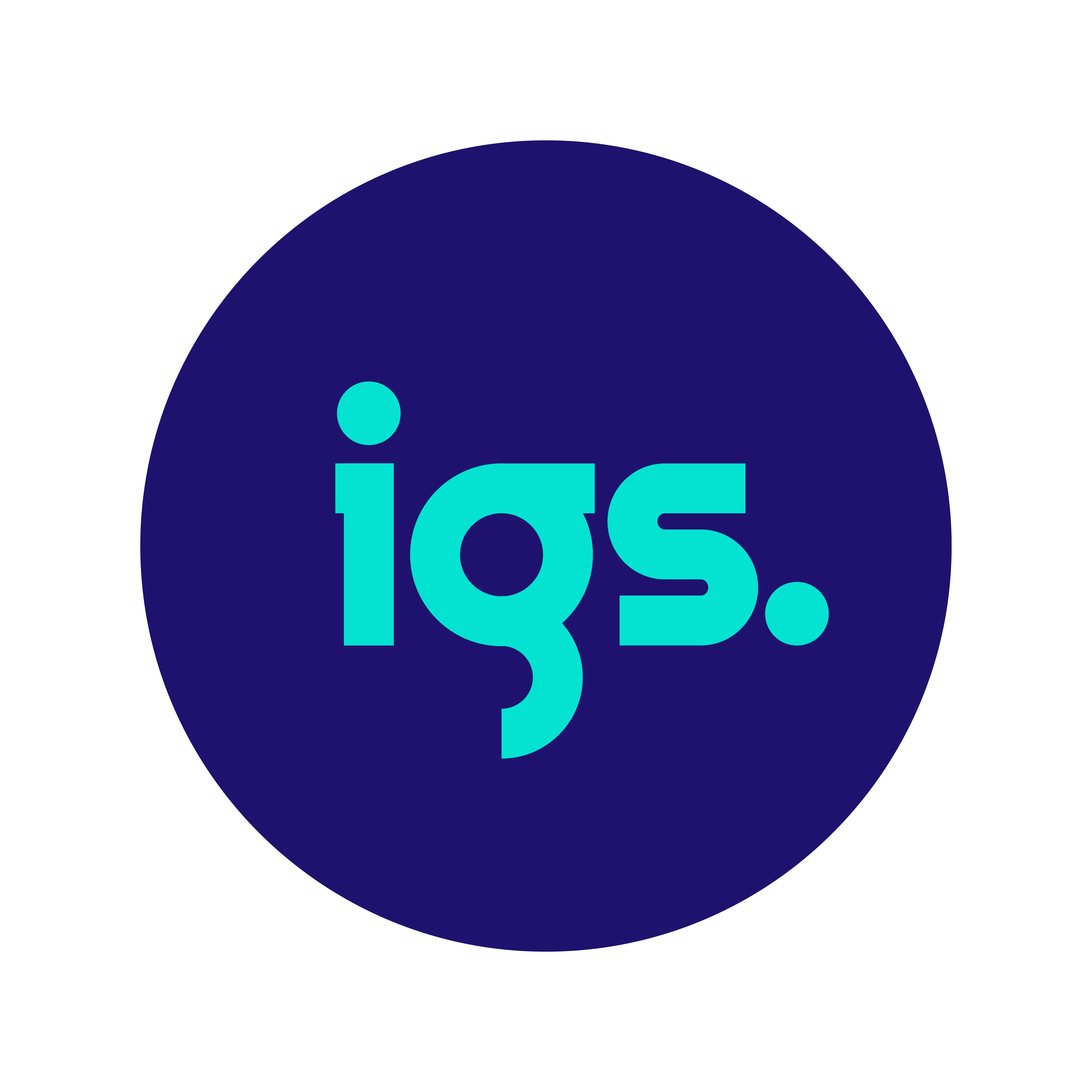 Igs Energy Logo